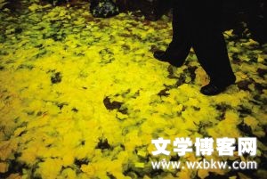 近在小河的彼岸——入围感言，致我敬爱的父亲！