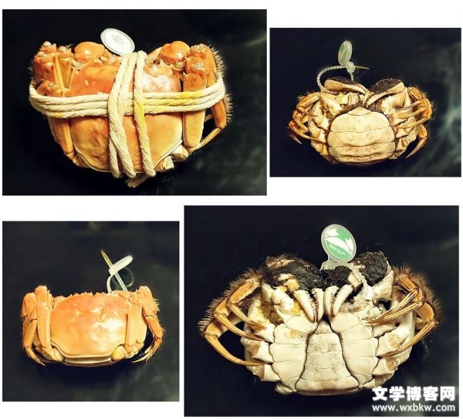 大闸蟹引来的话题