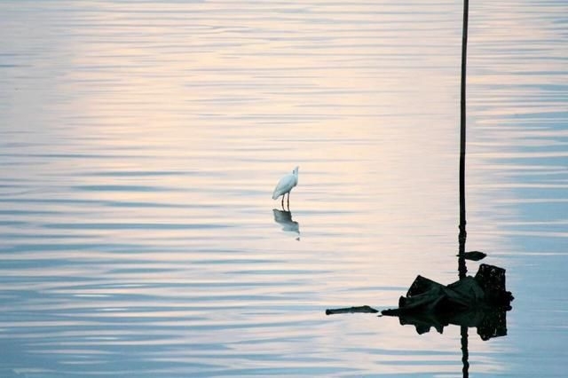 人间繁华多笑语,情到深处人孤独
