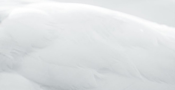 我年轻的摄影诗Photopoetry 3