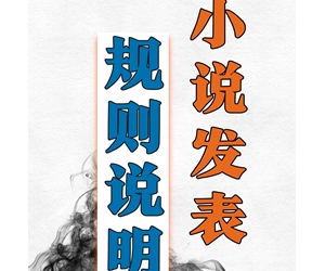 小说发布格式说明