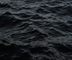 我年轻的摄影诗Photopoetry