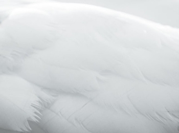 我年轻的摄影诗Photopoetry 3