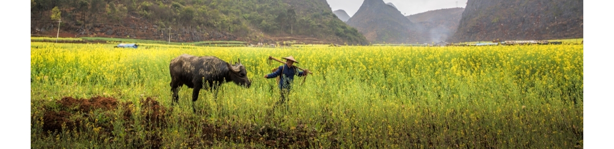 翻阅春天的土地：散文诗