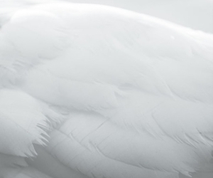 我年轻的摄影诗Photopoetry 3