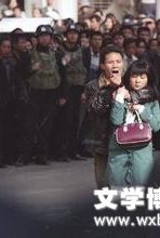 史蒂文.舒曼：银行抢案（小说）