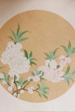 2046之死亡开启录（刘佳琪、陈立甜、何芳、邓先梅、黄晓露、林芳怡）