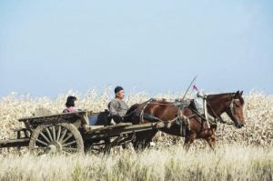 电视剧《白鹿原》将接受读者和观众审视