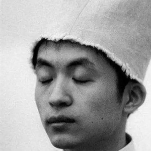 启蒙的歧路——“童话诗人”之殇与八十年代的“童话”话语 ...